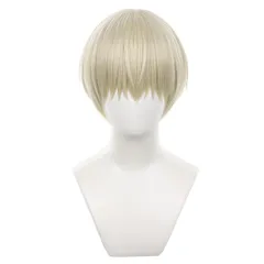 【新着商品】イベント ファッション 高温ヘア糸 耐熱ウィッグ 学園祭 コスプレかつら 専用ネット コスプレ 文化祭 ウィッグ るかっぷ 撮影用 梶蓮 BREAKER WIND 変装用 ウィンドブレイカー Sizuuenn