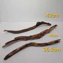 流木　流木3点(a-50)