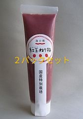 国産特別栽培紅玉ねり梅チューブ100g　２パックセット