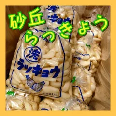 2025年最新】鳥取 らっきょうの人気アイテム - メルカリ