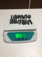 工場直売　関西産　A級品 乾燥なまこ  100g20本(計量時100g22本)