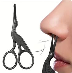 Item thumbnail for item ac2f1928-3e33-47a8-ab6f-c158777dee19