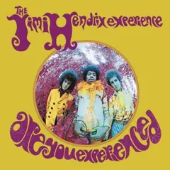 『ＴＨＥ・ＪＩＭＩ・ＨＥＮＤＲＩＸ・ＥＸＰＥＲＩＥＮＣＥ』４ＣＤ✭日本仕様【中古 2025年最新】Yahoo!オークション -jimi hendrix 4cdの中古品