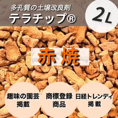 （値下げ中）テラヘルツ　テラチップ 2025年最新】テラチップの人気アイテム - メルカリ