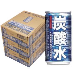 サンガリア 炭酸水 185ml×3ケース/90本