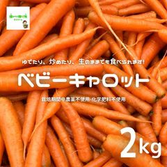 ベビーキャロット（ミニにんじん、ミニ人参）　約２kg　☆農薬や化学肥料は使っておりません　※サイズ混合