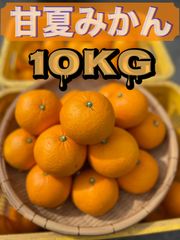 【南楽園産の甘夏みかん10kg】春を感じるさわやかな甘酸っぱさが楽しめる甘夏(あまなつ)みかん！10kg