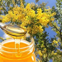 2023年産　長野県産　アカシアの蜂蜜６００ｇ　無添加