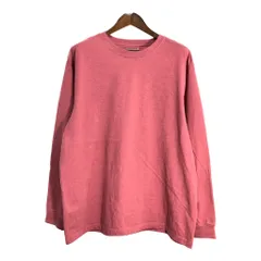 Carhartt カーハート 長袖Ｔシャツ 袖プリント サーモンピンク (メンズ L) 中古 古着 T3962