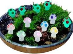 manatom 苔テラリウム フィギュア キット きのこのサムネイル