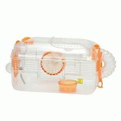 〔SALE〕SANKO　ルックルック・フォーチュン(Ｄ) 　オレンジ　C111