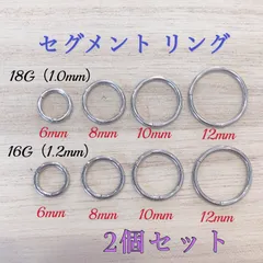 2個セット セグメント リング フープ リング ピアス ボディピアス