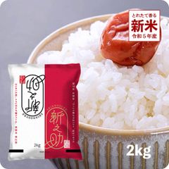 新米 新之助2kg  お米 令和5年産 白米