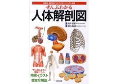 ぜんぶわかる人体解剖図