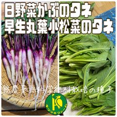 日野菜かぶのタネ 2ml と丸葉小松菜のタネ 2ml 無農薬無科学肥料栽培のタネ
