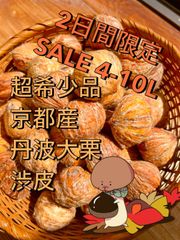 2日間限定セール 希少品 特大 大栗 京都産 丹波栗 7L(39-42g)550g 手拾い 手剥き 燻蒸処理なしのサムネイル