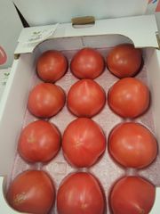 鳥取県倉吉市大原産　トマト