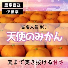 2024年最新】こたつみかんの人気アイテム - メルカリ