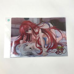 ★未開封品 ハイスクールD×D BorN リアス＆塔城小猫 クリアファイル