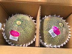 幻のメロン ナイルメロン 2L 5玉 千葉県産 送料込み - メルカリ