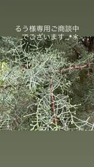 るう様専用ご商談中でございます…*＊