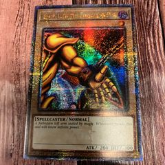 遊戯王　 英語版 北米版　封印されし者の左腕 25thシークレットレア