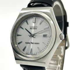 新品ベルト】citizen シチズン エコドライブ 腕時計 メンズ E111  