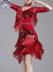 新品 未使用 新作 セール 社交ダンスドレス ラテンドレス 競技 デモ用 オーダーメイド