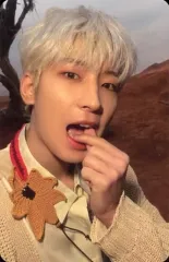 【中古】コレクションカード(男性) SEVENTEEN/WONWOO(ウォヌ)/裏面オレンジ/CD「Face the Sun」(ep.3 Ray)封入特典フォトカード