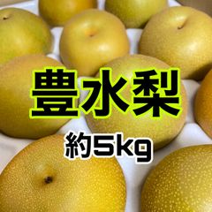 徳島県産 豊水梨 約5kg 梨