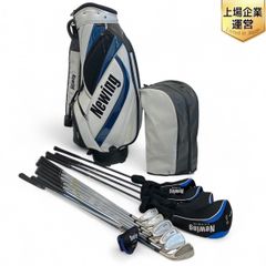 BRIDGESTONE Newing EZ DRIVE XV-3 ゴルフクラブセット キャディバッグ付 ブリヂストン 中古 Z9976439
