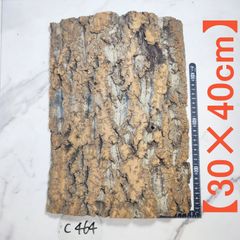 c464【30×40cm】コルク樹皮 コルク板 バージンコルク 送料/穴あけ無料   チランジア　ビカクシダ　着生ラン　両生類　爬虫類　コウモリラン　板付　エアープランツ
