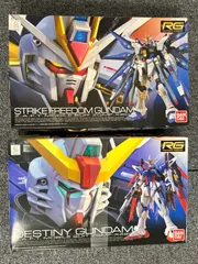 未組立RGデスティニーガンダムガンプラ ZGMF-X42S デスティニーガンダム (RG) (ガンプラ) - ホビー