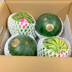【選果落ち 訳あり商品】 食べ比べ 熊本 2種類 小玉すいか 合計 4玉 約4Kg Sサイズ以上 おまかせ 規格外 家庭用 贈答不可 加工用 (002)小玉西瓜  熊本県産 果物 フルーツ 予約販売 6月上旬以降