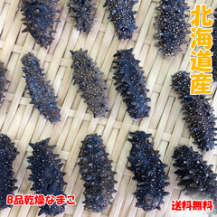 北海道産乾燥海参 訳あり品　500g（　85個前後） 金ん子 北海キンコ 海参
