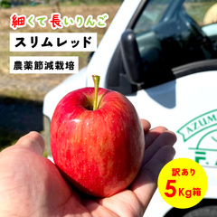 細くて長いりんご！「スリムレッド5キロ箱訳あり品」減農薬 農林水産大臣賞 りんご 長野県産 安曇野 信州産 産地直送 送料無料 5キロ 箱使用 果物 フルーツ 鮮度抜群 産地直送