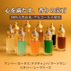 新品未使用✨アプソリュ レ パルファン 2ミリ11種類ギフトセット