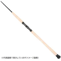 2025年最新】ZENITH ロッドの人気アイテム - メルカリ