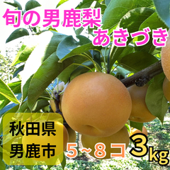 男鹿梨「あきづき」3kg 【家庭用】  大将梨園　秋田県男鹿市産