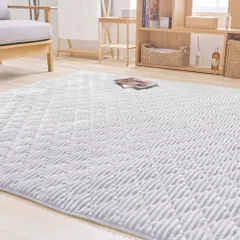 【人気商品】フランネルラグ(針抜き) PLAZA) 190×240 アイリスプラザ(IRIS アイボリーのサムネイル