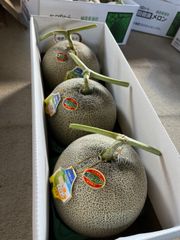 北海道 富良野メロン 高級 赤肉 正規品 特大３玉 有機肥料 超減農薬