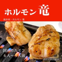 国産ホルモン鍋セット６人〜９人前