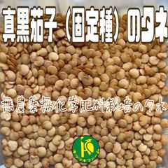 真黒茄子（ナス・固定種）のタネ　40粒　無農薬無化学肥料栽培のタネ
