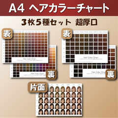 ヘアカラーチャート3枚5種セット A4超厚口 おしゃれ染め 白髪染め ファッションカラー グレイカラー 平均顔 美容室