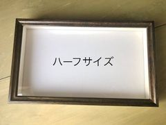 【数量限定品！】標本箱・ハーフサイズ