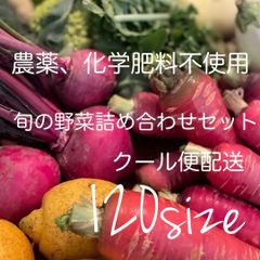 クール便配送[農薬、化学肥料不使用] 旬の野菜詰め合わせセット　120サイズ