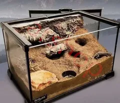爬虫類用品卸爬虫類飼育ガラスケージ両生類飼育ケージ603030cm首都圏