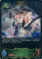 2025年最新】エボルヴ セッカの人気アイテム - メルカリ