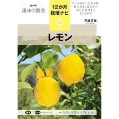 学研　Lemon レモン　1982年　10月号 学研 Lemon レモン 1982年 10月号 - メルカリ