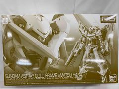 【未開封】RG 1/144 ガンダムアストレイ ゴールドフレーム天（アマツ）ハナ